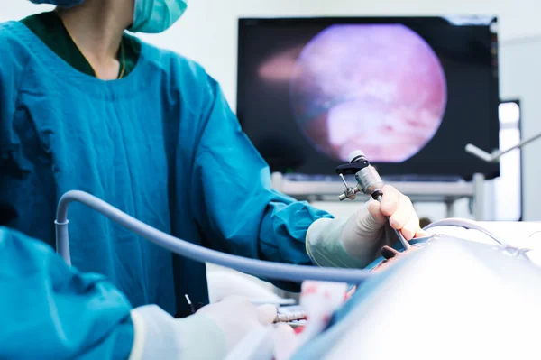 A veterinarian surgeon using a device during surgery in an operation room.
